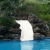 The water slide provides enjoyment for young and old alike.